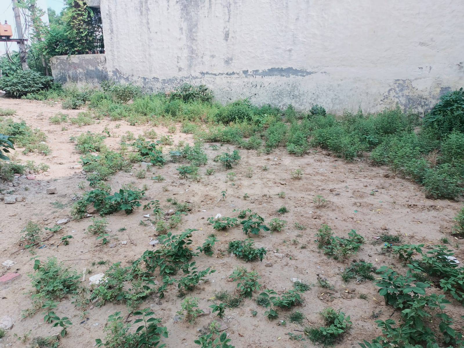 Resale 125 Sq.Yd. Plot in Palam Vihar Residents Association, New Palam