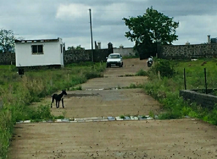 Resale 1025 Sq.Ft. Plot in Katraj Pune 4336857