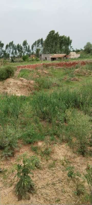 900 sq.yd. plot in loni ghaziabad