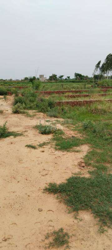 1000 sq.yd. plot in loni ghaziabad