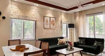 3 BHK Builder Floor For Rent in Dlf Phase ii Gurgaon 4358267