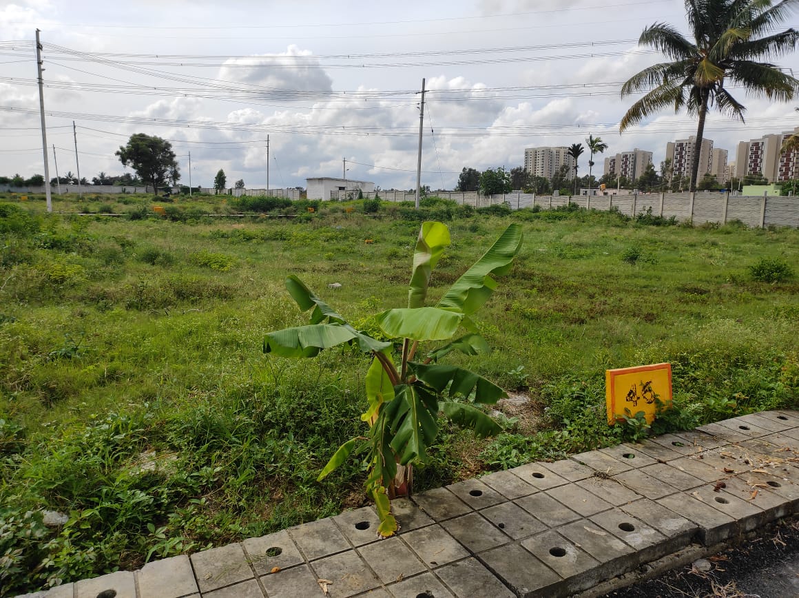 Resale 1200 Sq.Ft. Plot in Kadugodi Bangalore 4362405