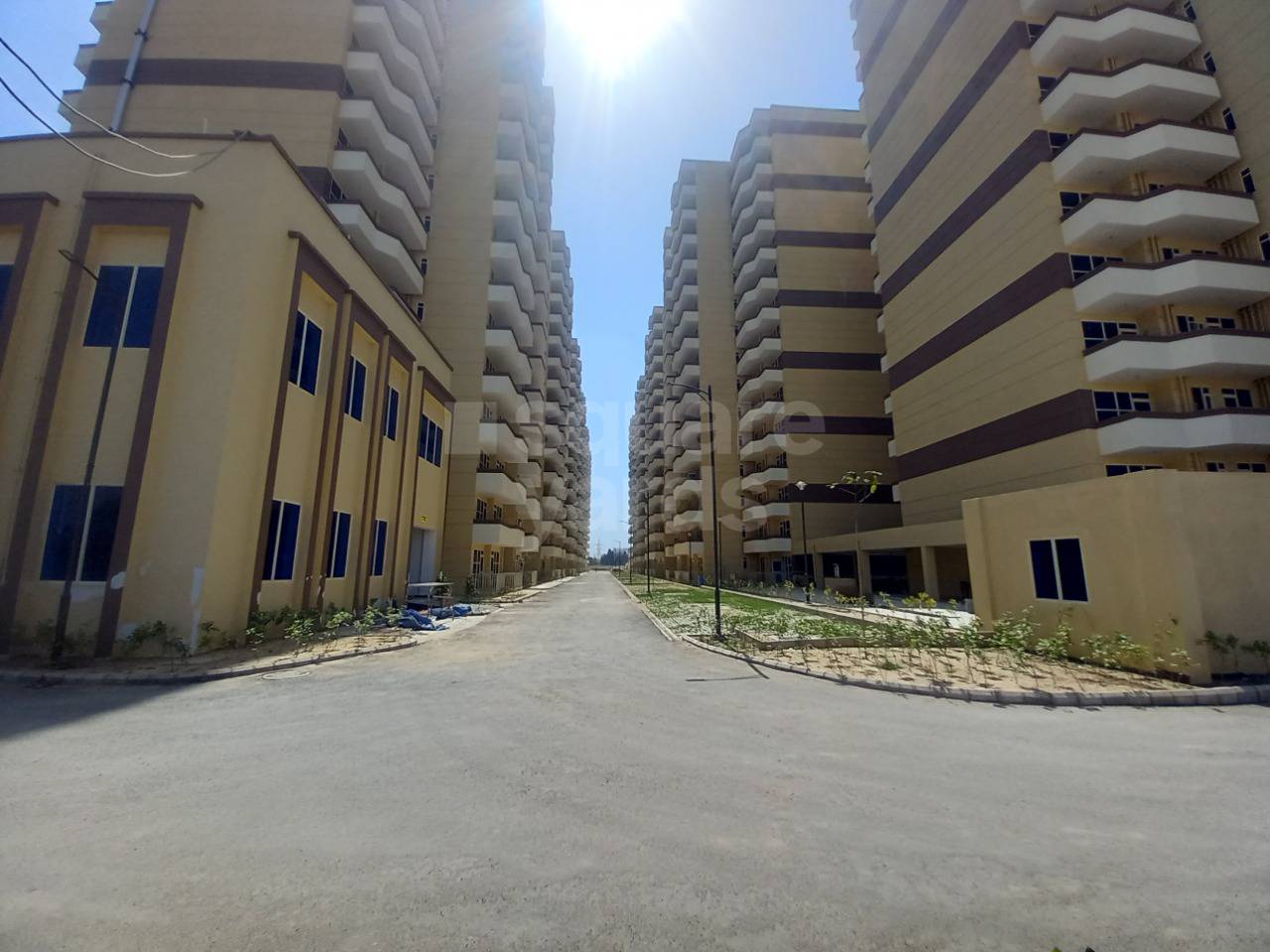 Rental 2 Bedroom 598 Sq.Ft. Apartment in Pyramid Urban Homes 3, Sector