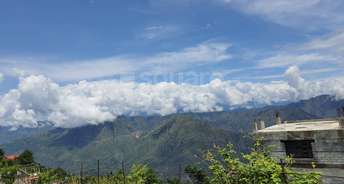  Plot For Resale in Naldehra Shimla 4368017