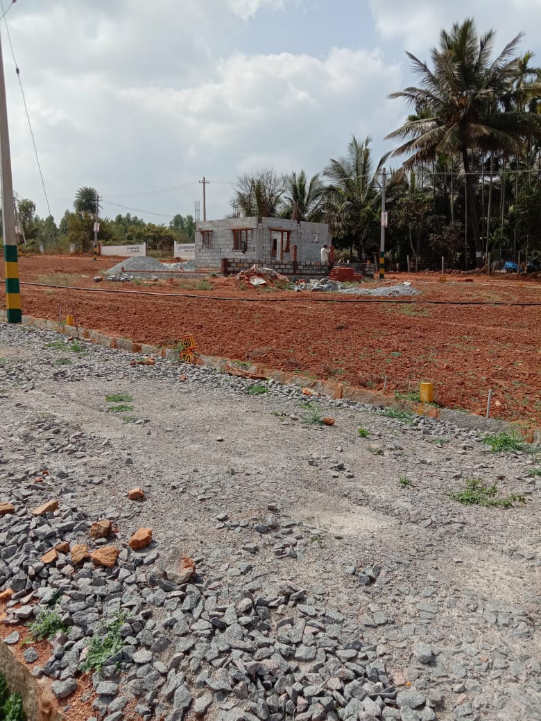 Resale 1200 Sq.Ft. Plot in Tavarekere Bangalore 4418254
