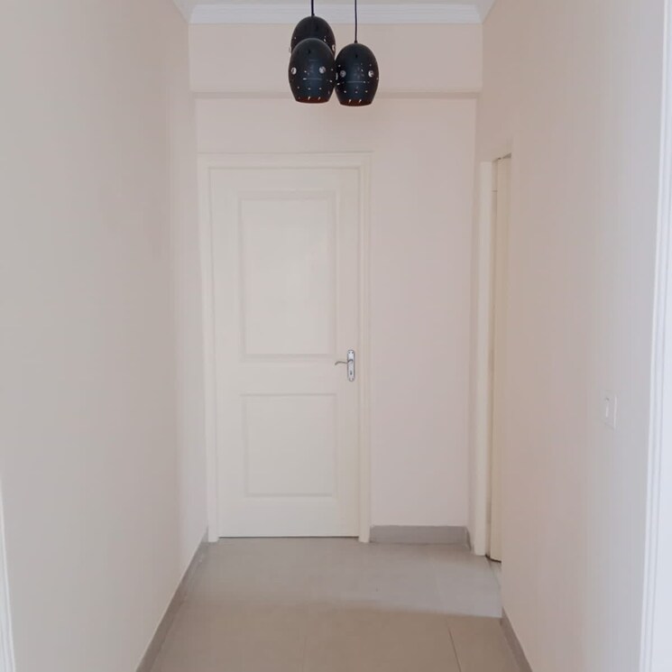 Other, orchid-petals 4 Bedroom 2337 Sq.Ft. Apartment In Sector 49 Gurgaon 4419585