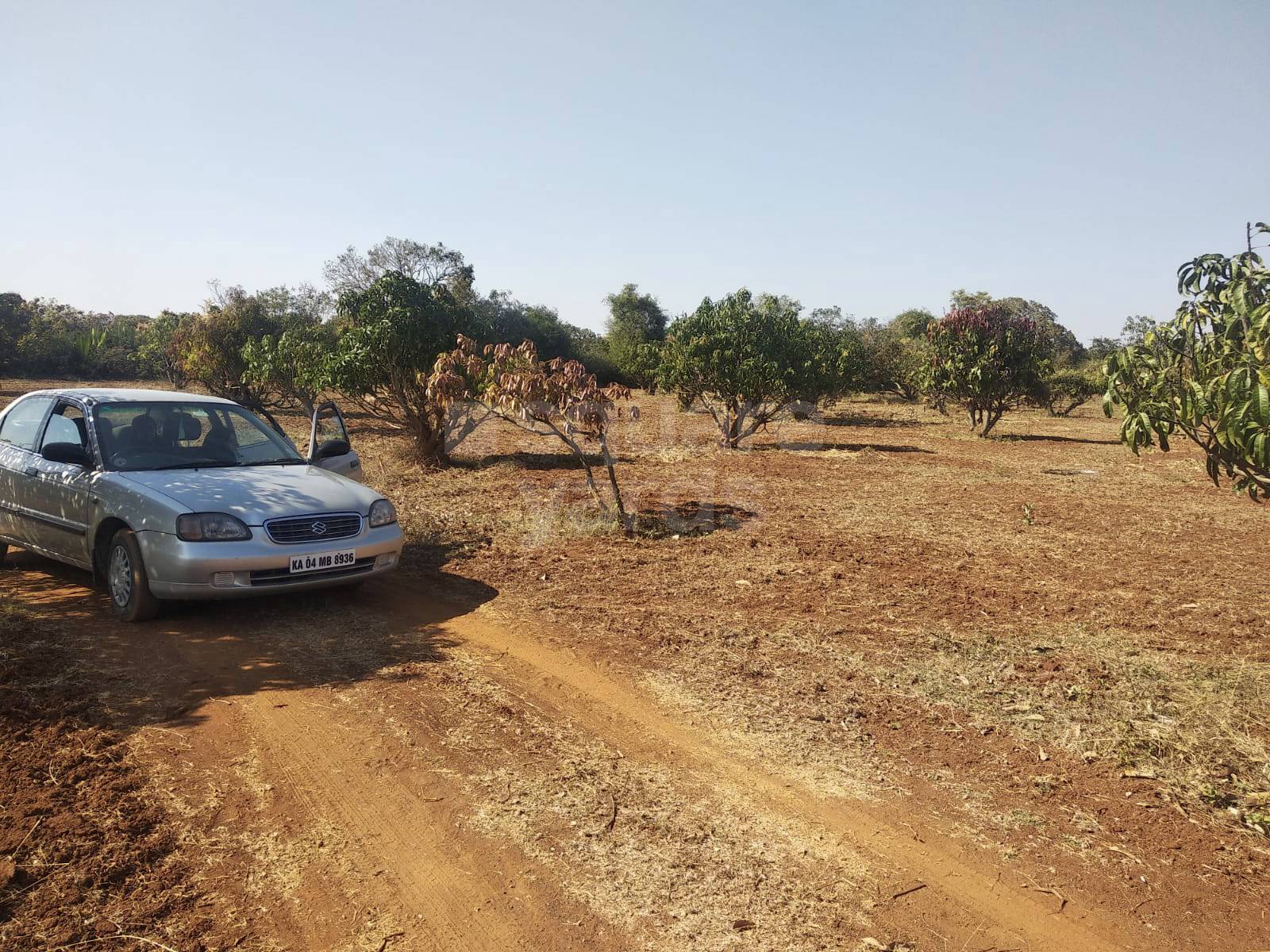 Resale Commercial Land 15 Acre in KolaRSrinivaspur Road Kolar 4455413