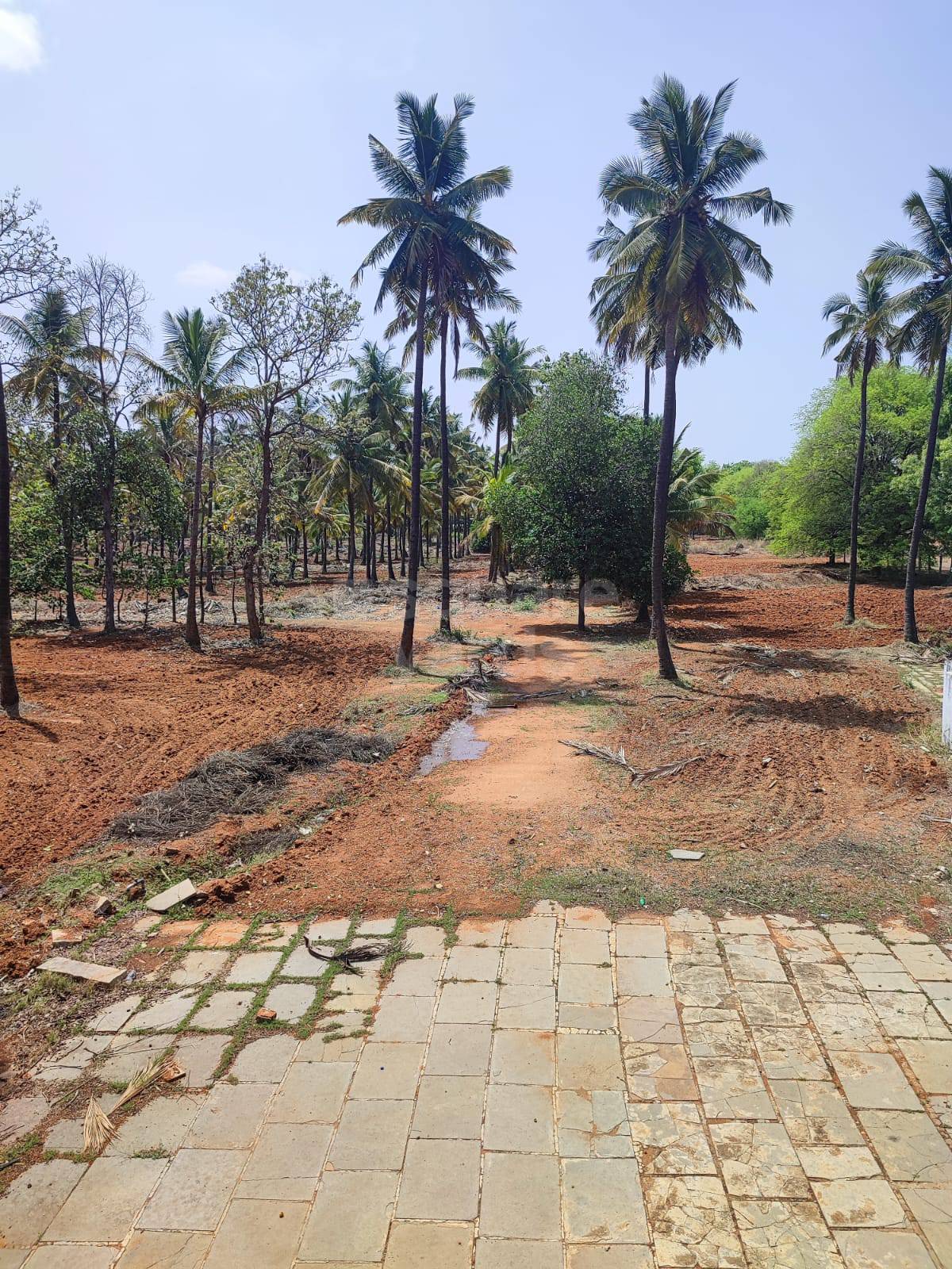 Resale 3 Bedroom 1461 Sq.Ft. Apartment in Godrej Aqua, International