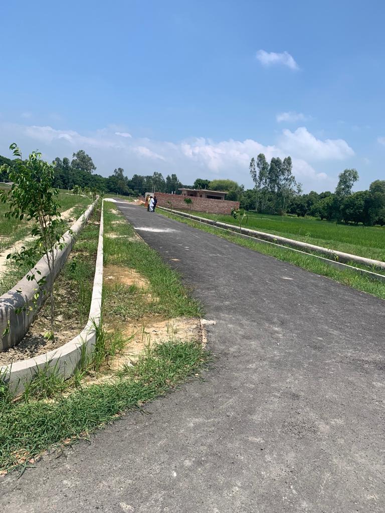 Resale 1500 Sq.Ft. Plot in Budheshwar Lucknow 4504010