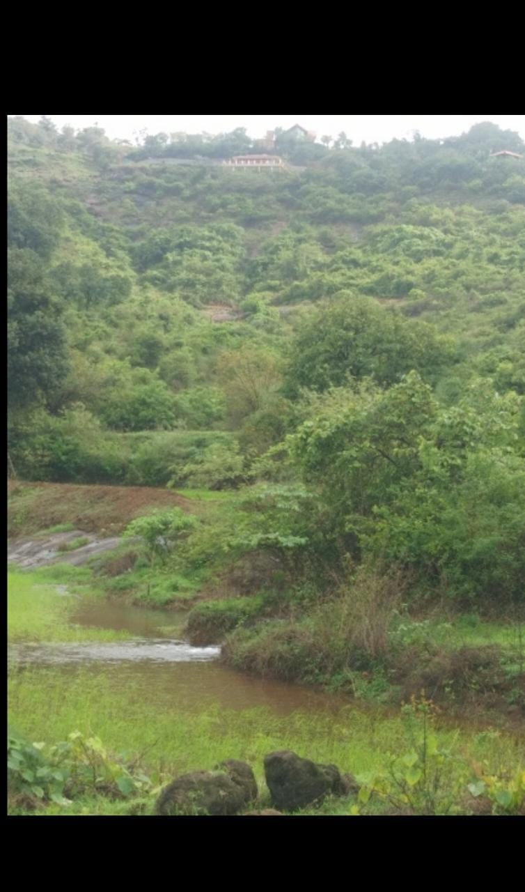 Resale 3000 Sq.Ft. Plot in Lonavala Pune 4521835