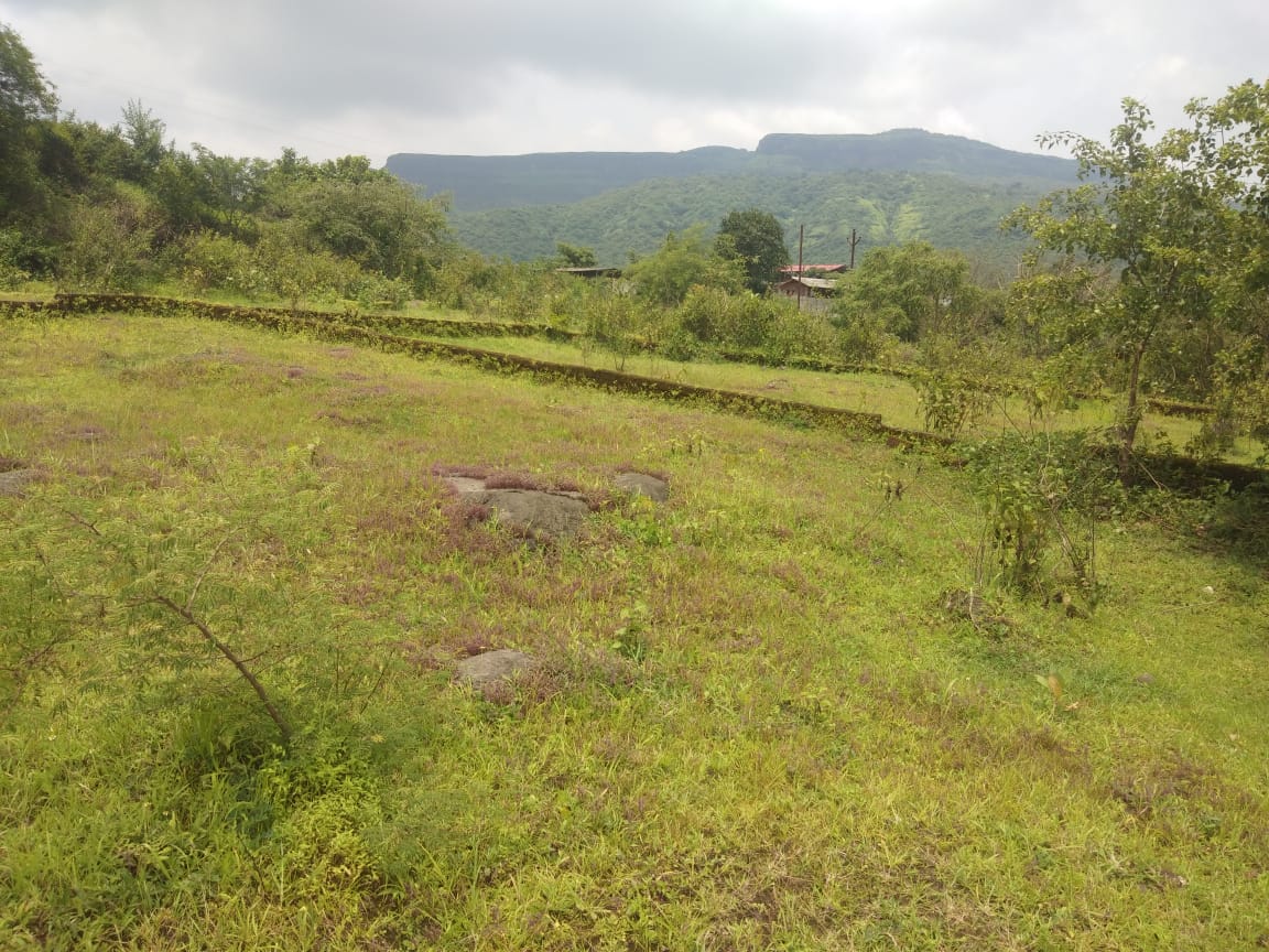 Resale 3000 Sq.Ft. Plot in Lonavala Pune 4539203