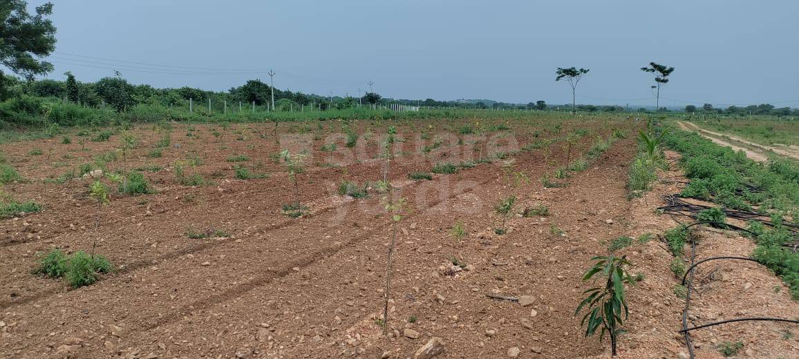 Resale 400 Sq.Ft. Plot in Miyapur Hyderabad 4545242