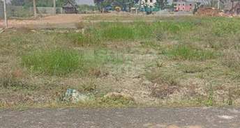 Commercial Land 502 Sq.Yd. For Resale In Dlf Phase ii Gurgaon 4553889