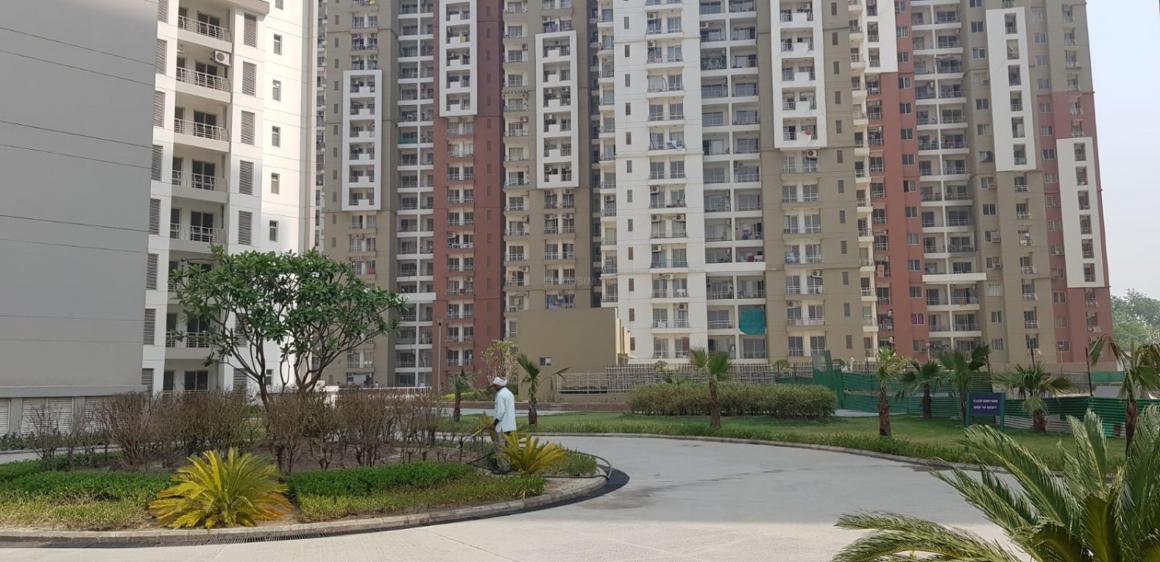 Resale 3 Bedroom 1415 Sq.Ft. Apartment in 3C Lotus Panache, Sector 110