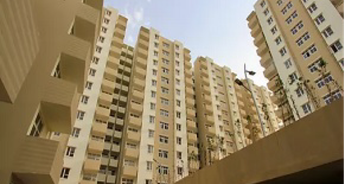 2 BHK Apartment For Rent in Tulip Lemon Sector 69 Gurgaon 4573985
