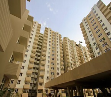 2 BHK Apartment For Rent in Tulip Lemon, Sector 69