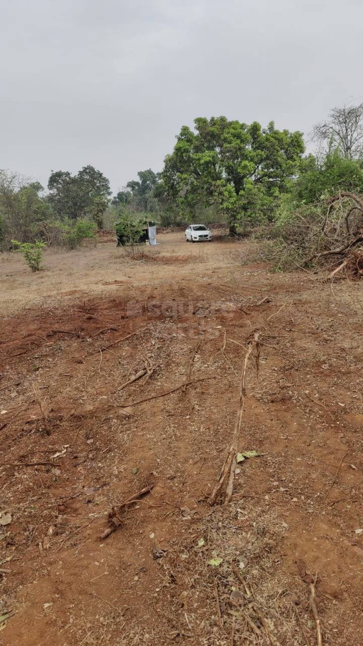 Resale 8 Acre Plot in Mangaon Raigad 4617417