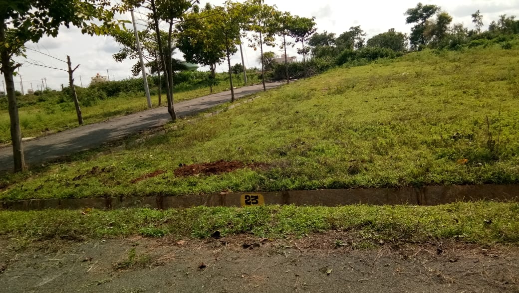 Resale 1348 Sq.Ft. Plot in Dodda Aalada Mara Road Bangalore 4644311