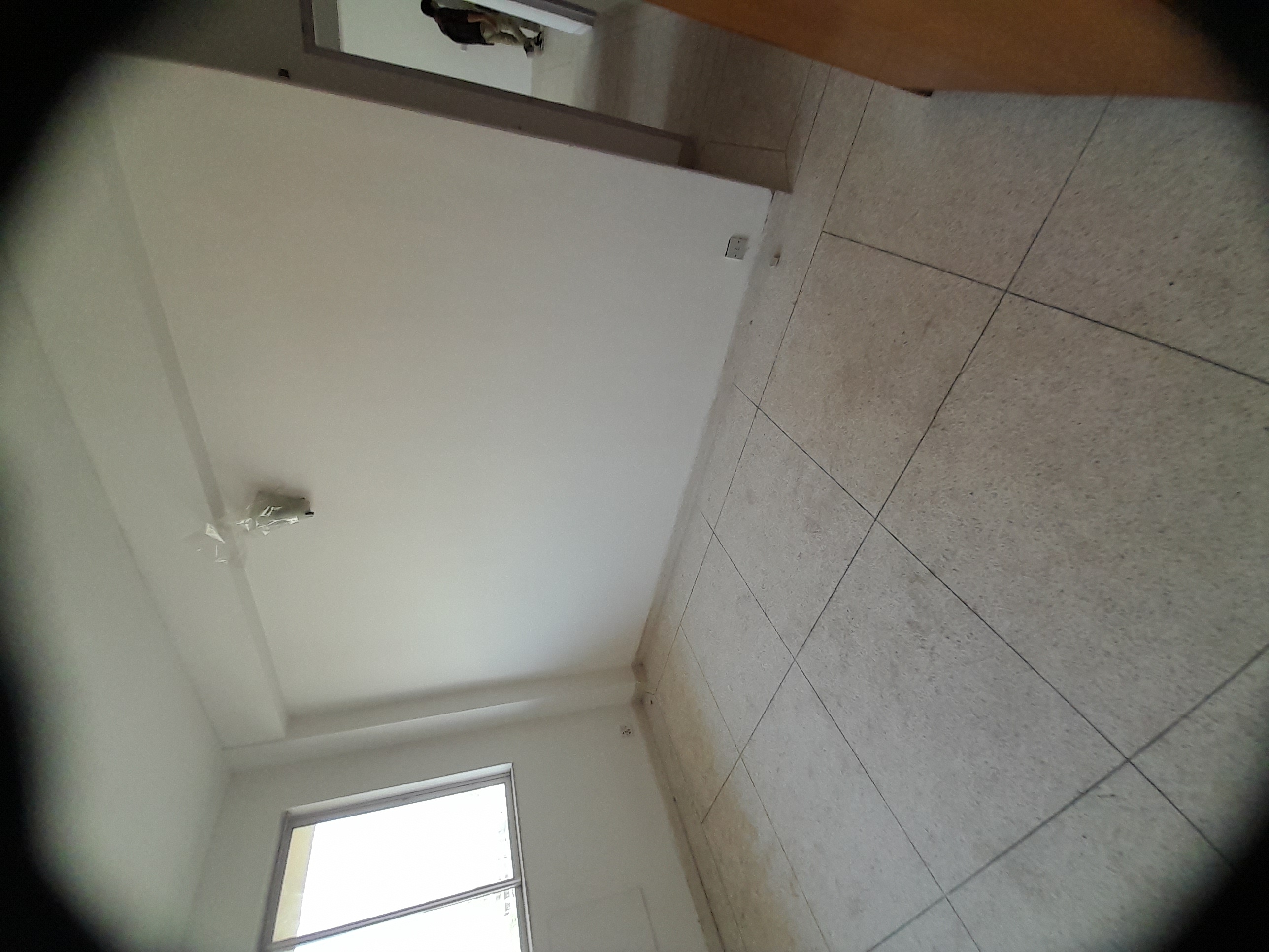 Rental 3 Bedroom 1443 Sq.Ft. Apartment in DLF Ridgewood Estate, Sector