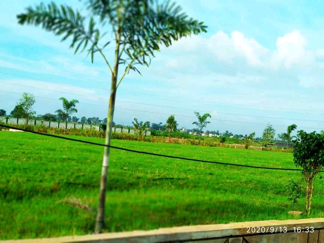 Resale 1200 Sq Ft Plot In Kumhari Raipur 4702661 resale-1200-sq-ft-plot-in-kumhari-raipur-4702661