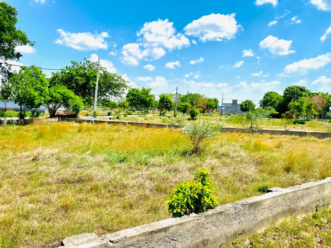 Resale 1000 Sq.Ft. Plot in Bijnor Road Lucknow 4704302