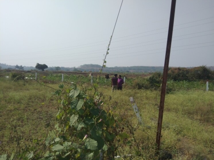 Other, yuva-chakan-saundarya  1000 Sq.Ft. Plot In Chakan Pune 4715866