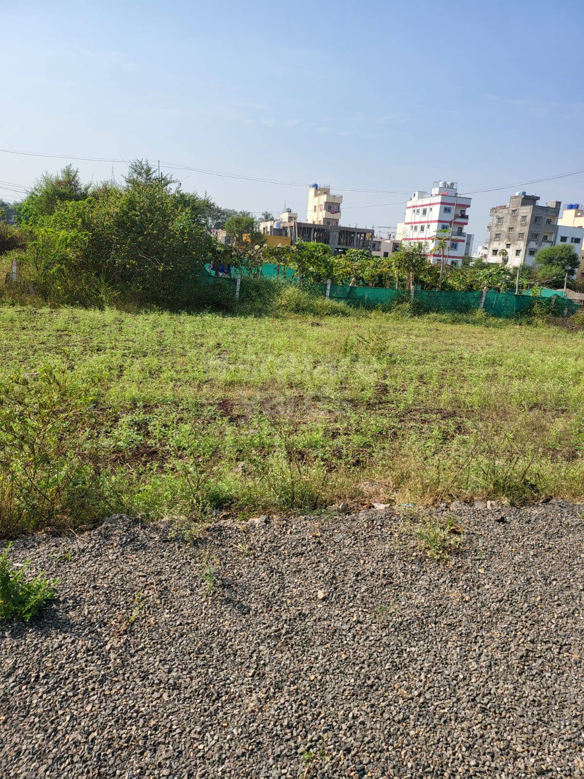 Resale 1000 Sq.Ft. Plot in Manjari Pune 4717759