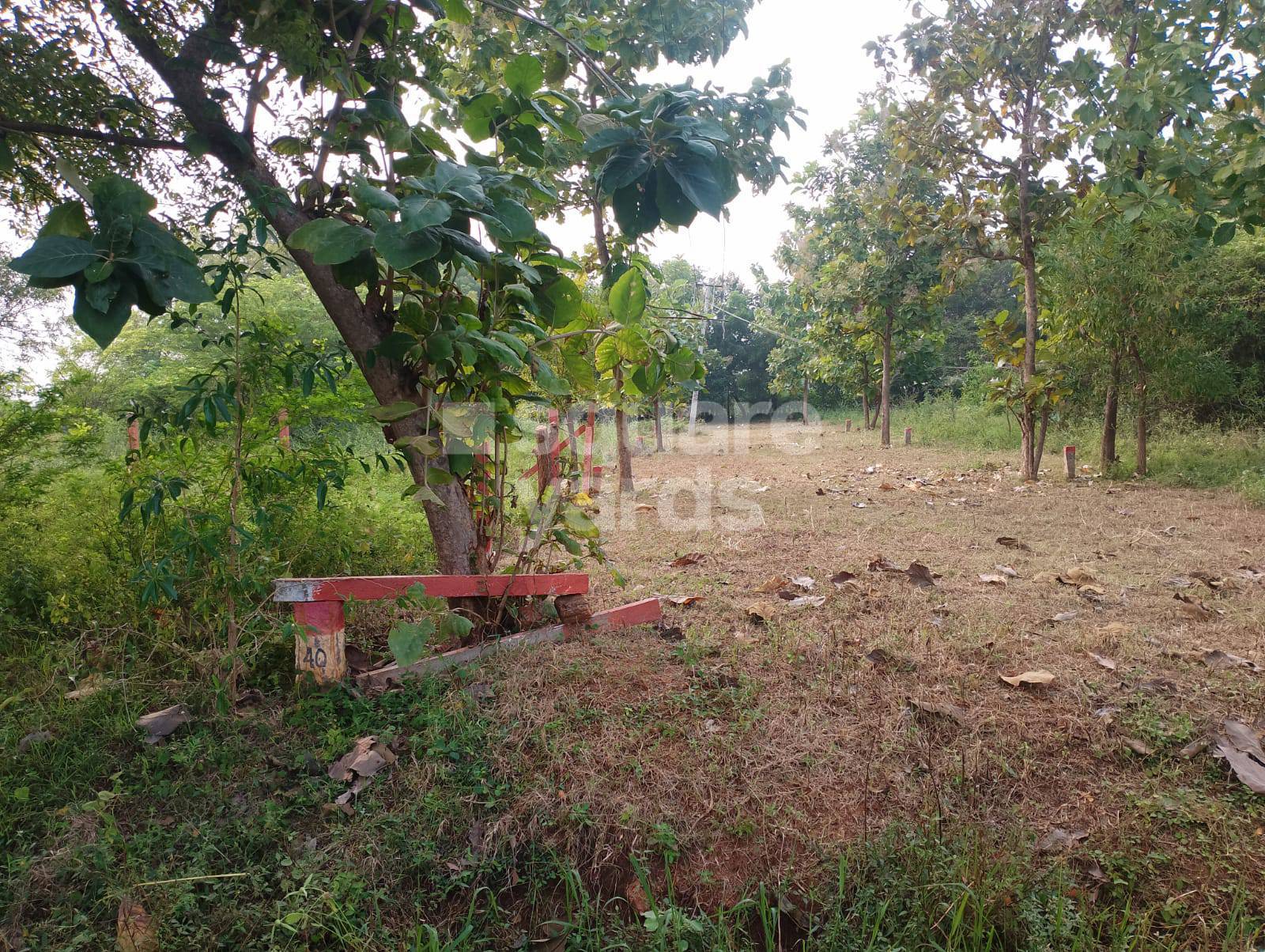 Resale 436 Sq.Ft. Plot in Otthakadai Madurai 4721290