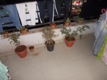 Balcony in 1 BHK Apartment at Shree Siddhi Residency Ambegaon, Ambegaon Budruk – for Sale