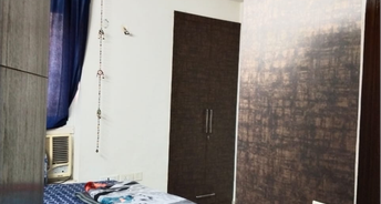 3 BHK Apartment For Rent in Tulip Violet Sector 69 Gurgaon 4729476