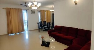 3 BHK Apartment For Rent in Dorabjee Paradise Building A&B Condominium, Mohammadwadi