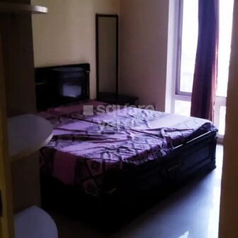 3 BHK Apartment For Rent in Vipul Greens Sector 48 Gurgaon  4748308