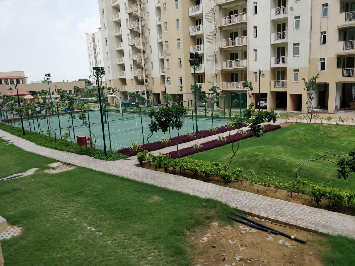 Resale 3 Bedroom 2050 Sq.Ft. Apartment in Emaar Palm Heights, Sector 77