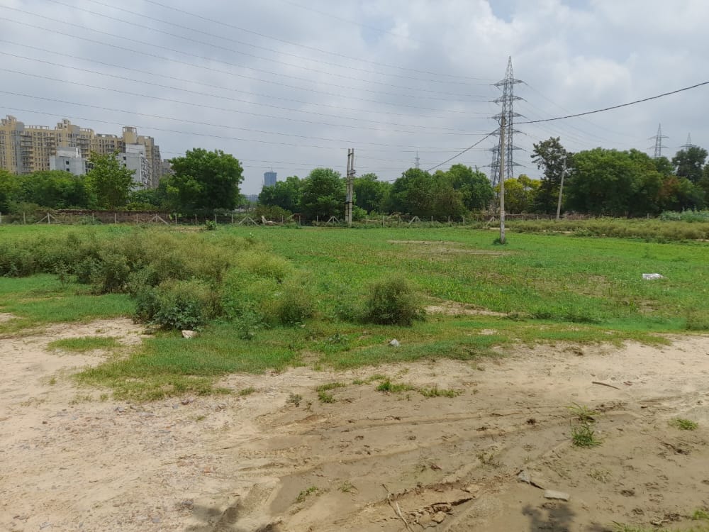 Resale 6+ Bedroom 1 Acre Villa in Gurgaon Faridabad Road Gurgaon 4768036