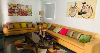 3 BHK Villa For Rent in Gandipet Hyderabad 4774974