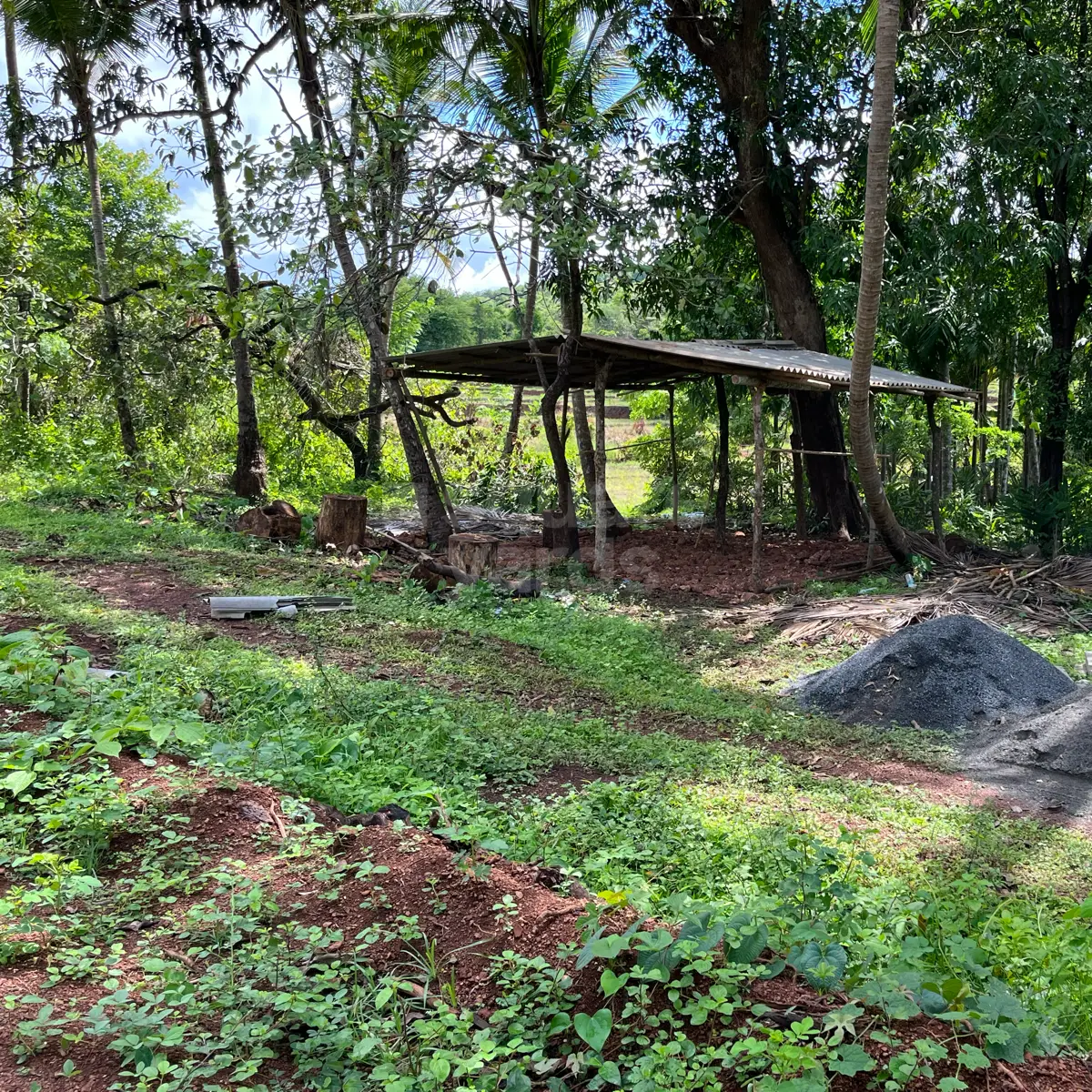 Plot in Goa Under 20 Lakhs 2+ Plot for Sale in Goa Below 20 Lakhs