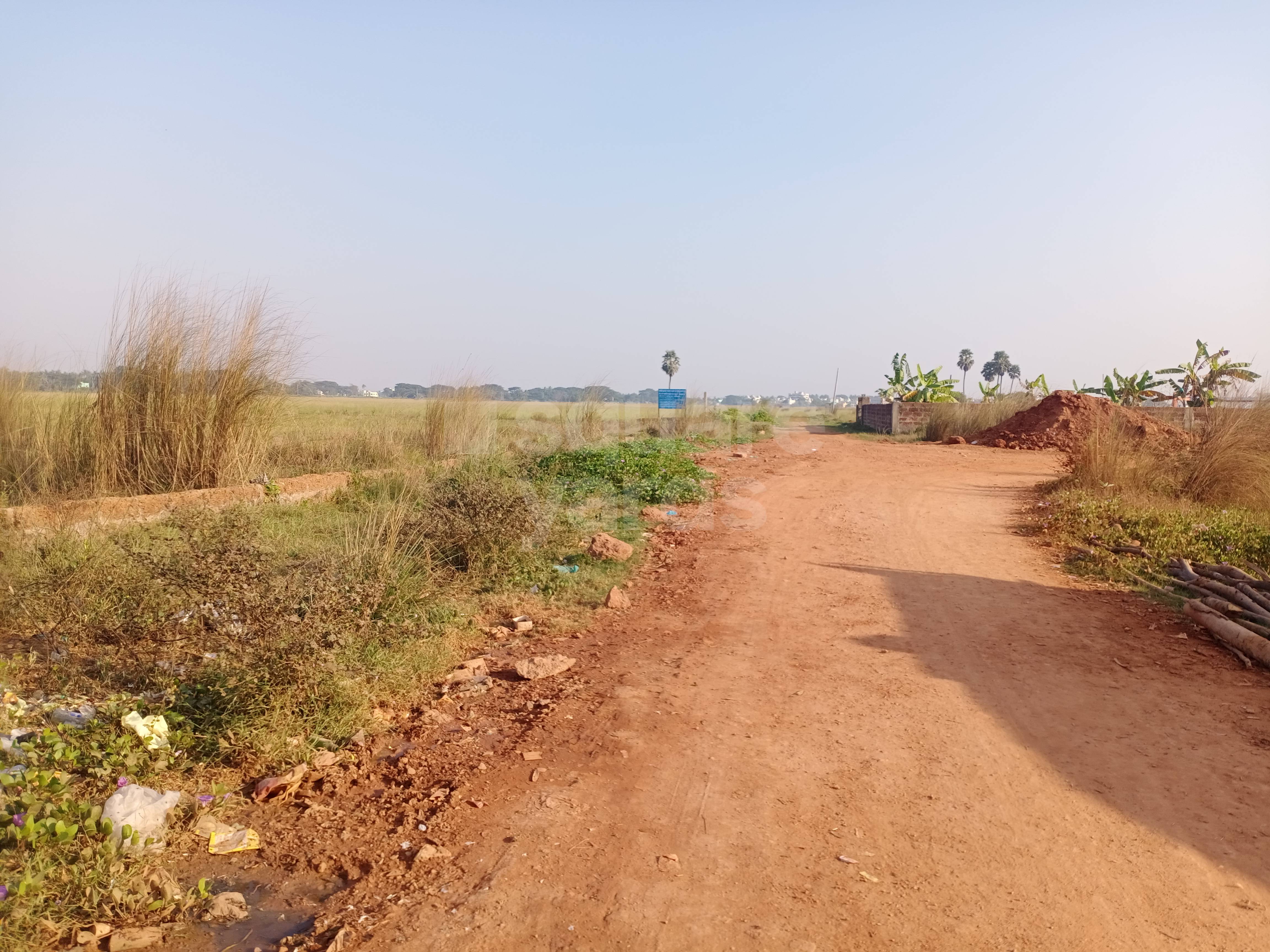 Resale 1200 Sq.Ft. Plot in Pahal Bhubaneswar 4786747