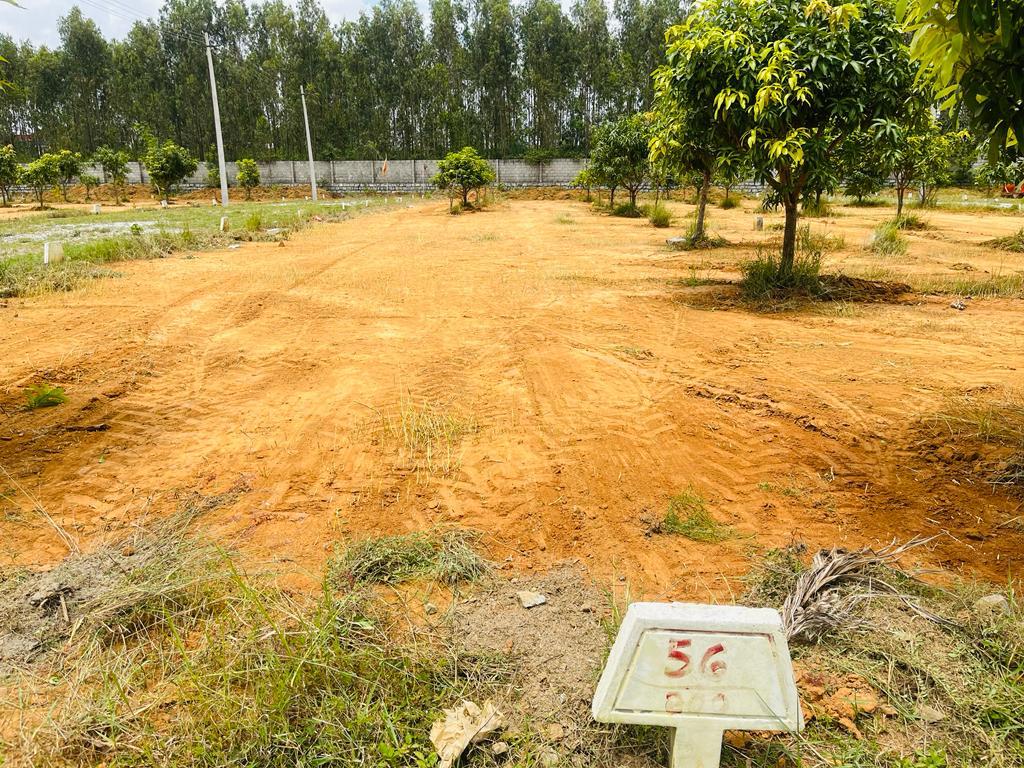 Resale 1000 Sq.Ft. Plot in Bannerghatta Road Bangalore 4791019