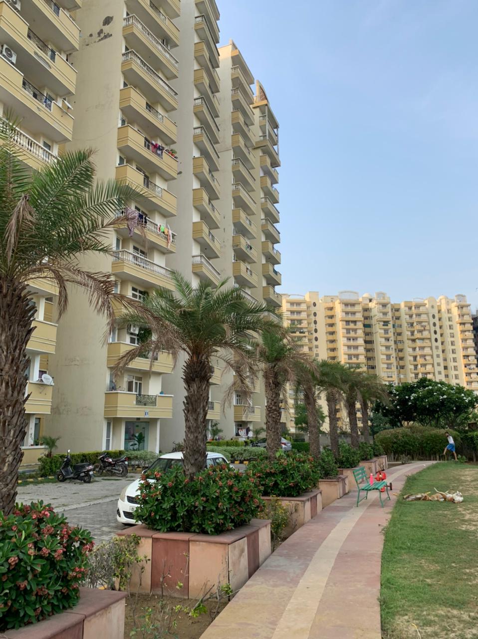 Resale 3 Bedroom 1295 Sq.Ft. Apartment in Supertech Green Village