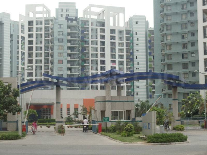 Resale 4 Bedroom 500 Sq.Ft. Builder Floor in Unitech South City II, Sector 50 Gurgaon 4869153