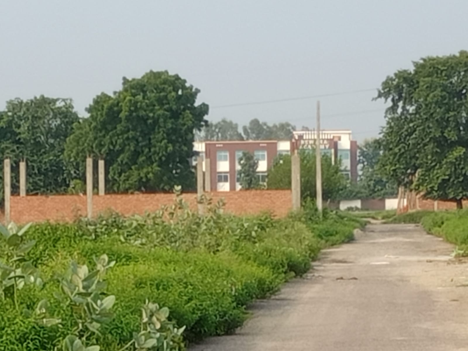 Resale 1450 Sq.Ft. Plot in Kamta Lucknow 4877289