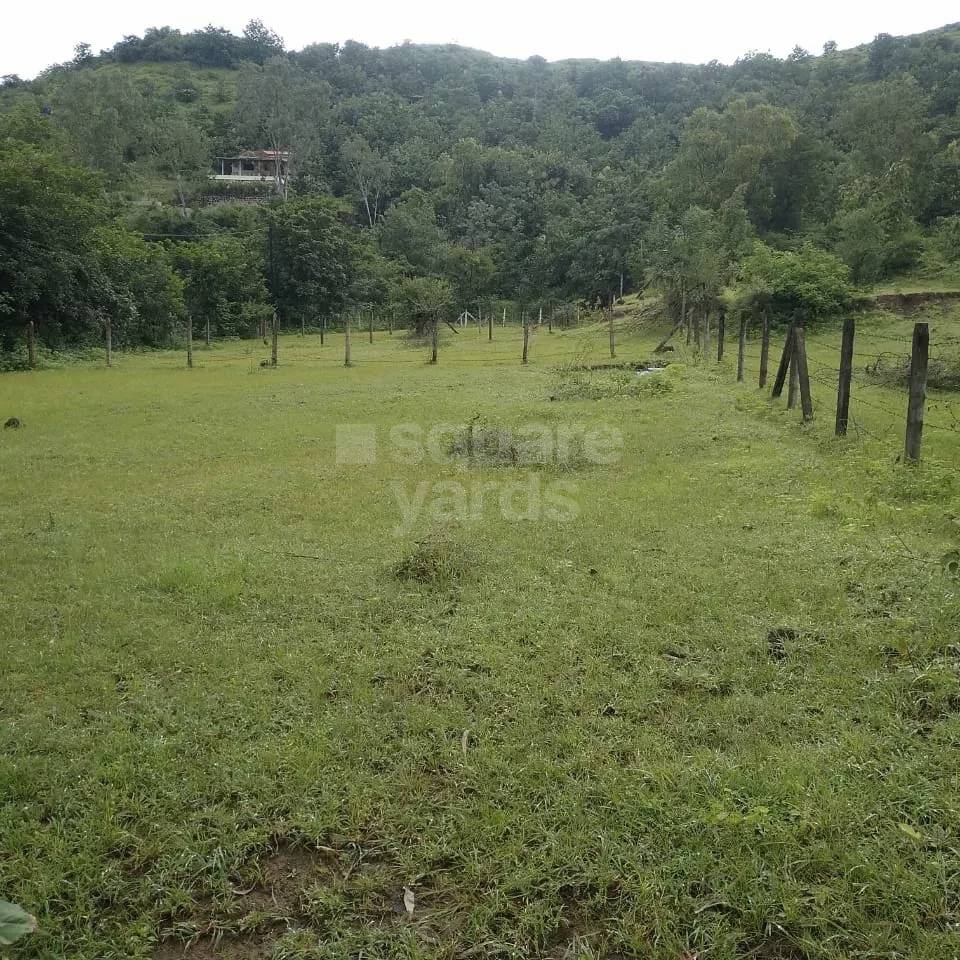 Resale 3000 Sq.Ft. Plot in Katraj Pune 4988847