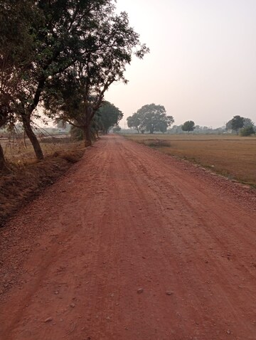Plot Area in  Plot at Omaxe World Homes, Sector 97 – for Sale