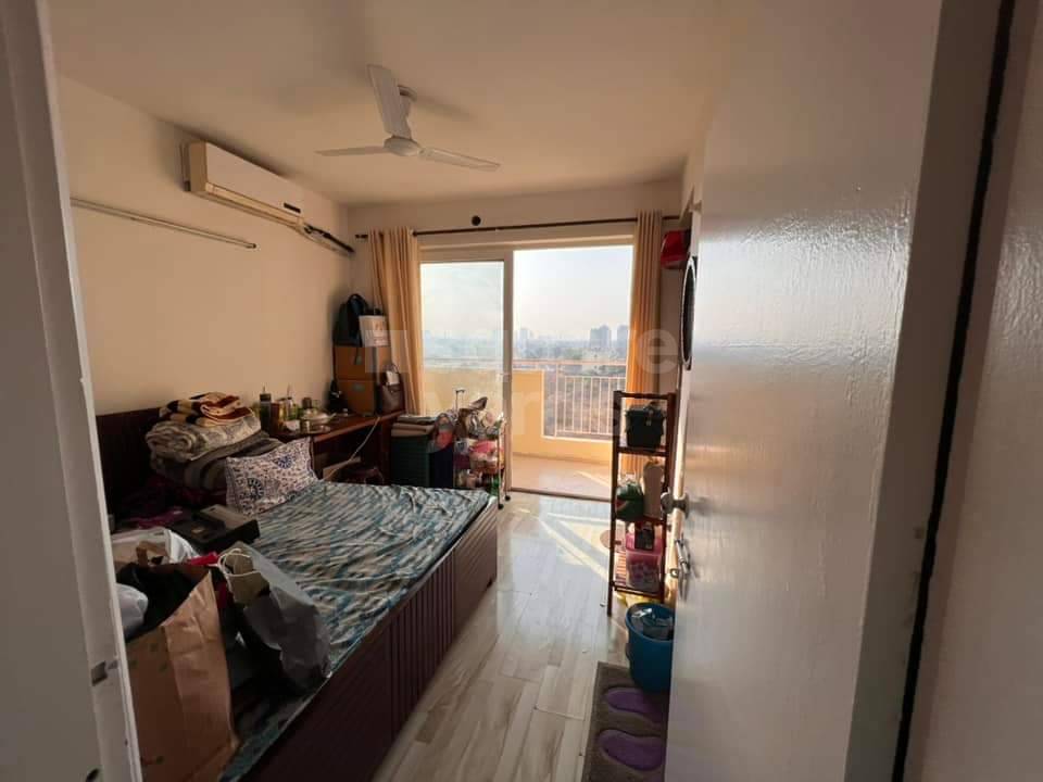 Rental 1 Bedroom 880 Sq.Ft. Independent House in East Of Kailash Delhi