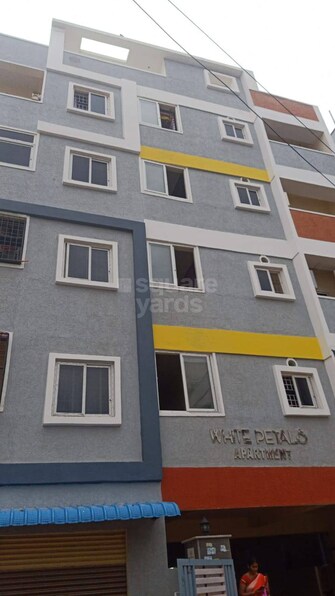 2 BHK Apartment For Rent in Krishna Reddy Pet Hyderabad  4996733