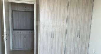 3 BHK Apartment For Rent in DLF The Skycourt Sector 86 Gurgaon 5004974