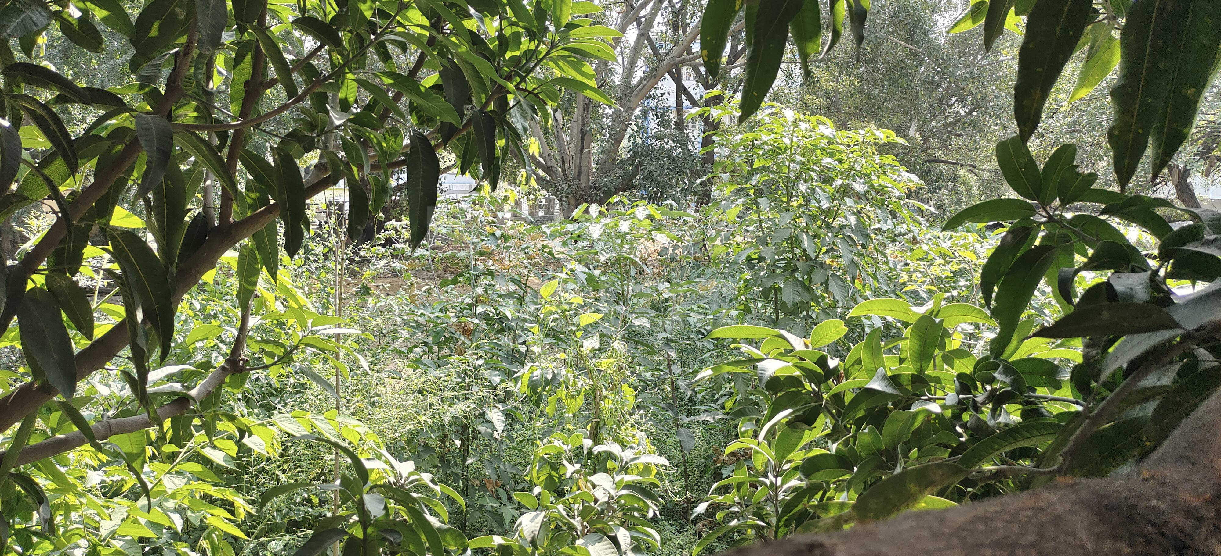 Resale 300 Sq Yd Plot In Kondapur Hyderabad 5025158 resale-300-sq-yd-plot-in-kondapur-hyderabad-5025158