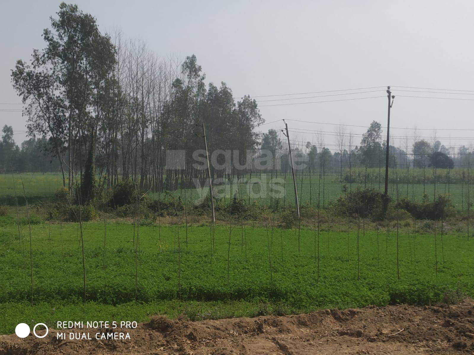 Resale 7500 Sq.Ft. Plot in Delhi Road Saharanpur 5052549