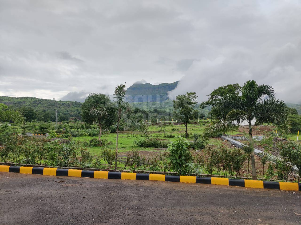 Resale 5000 Sq.Ft. Plot in Trimbak Road Nashik 5259771