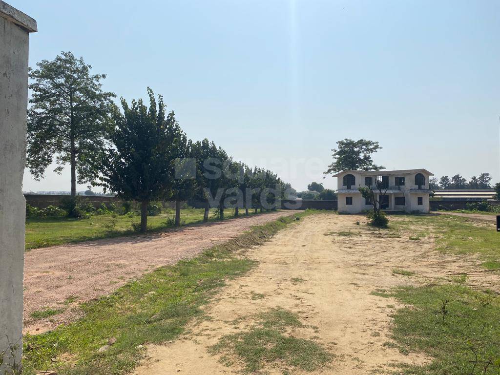 Resale 100 Sq.Ft. Plot in Gurgaon Village Gurgaon 5093143